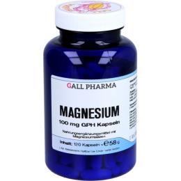 MAGNESIUM 100 mg GPH Kapseln 120 St. (77 g)