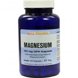 MAGNESIUM 100 mg Kapseln 120 St Kapseln