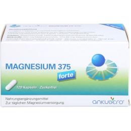 MAGNESIUM 375 forte Kapseln 120 St. (91 g)