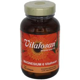 MAGNESIUM 6 Vitafosan Kapseln 60 St. (44,8 g)