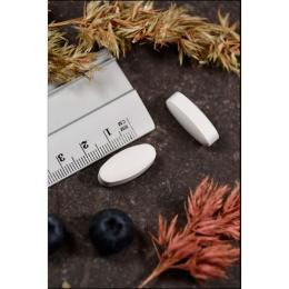MAGNESIUM CITRAT 400 mg KAL Tabletten 60 St. (95 g)