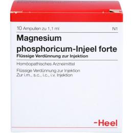 MAGNESIUM PHOSPHORICUM INJEEL forte Ampullen 10 St.