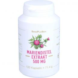 MARIENDISTEL EXTRAKT 500 mg MONO Kapseln 120 St.