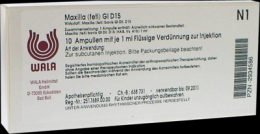 MAXILLA feti GL D 15 Ampullen 10X1 ml