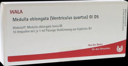 MEDULLA OBLONGATA Ventriculus quartus GL D 5 Amp. 10X1 ml