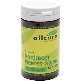 MEERESALGEN Kapseln Nordmeer 60 St. (31,8 g)