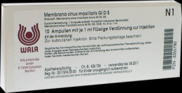 MEMBRANA sinus maxillaris GL D 5 Ampullen 10X1 ml