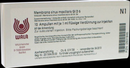 MEMBRANA sinus maxillaris GL D 6 Ampullen 10X1 ml