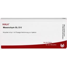 MESENCHYM GL D 6 Ampullen 10 ml