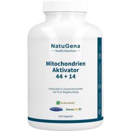 MITOCHONDRIEN Aktivator 44+14 Multi-Komplex Kaps. 240 St. (139,45 g)