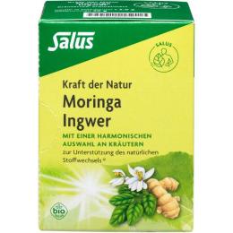 MORINGA INGWER Kräutertee Kraft der Natur Salus 15 St.