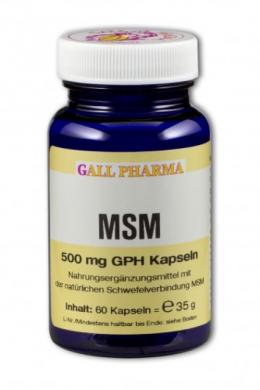 MSM 500 mg GPH Kapseln 60 St Kapseln