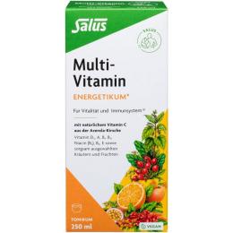 MULTI-VITAMIN ENERGETIKUM Salus 250 ml (250 ml)