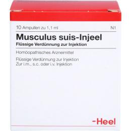 MUSCULUS SUIS Injeel Ampullen 10 St.