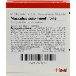 MUSCULUS SUIS Injeel forte Ampullen 10 St