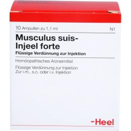 MUSCULUS SUIS Injeel forte Ampullen 10 St.