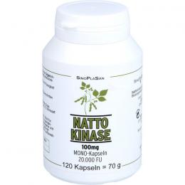 NATTOKINASE 100 mg Mono 20.000 FU Kapseln 120 St.
