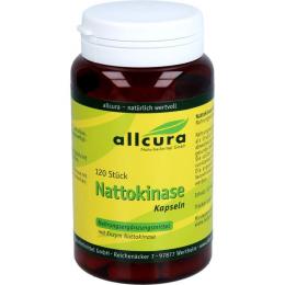 NATTOKINASE KAPSELN 120 St. (42,6 g)