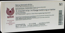 NERVUS FEMORALIS GL D 6 Ampullen 10X1 ml