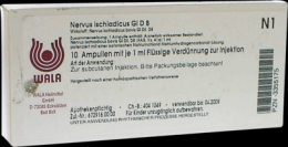 NERVUS ISCHIADICUS GL D 8 Ampullen 10X1 ml