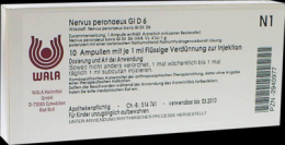 NERVUS PERONAEUS GL D 6 Ampullen 10X1 ml