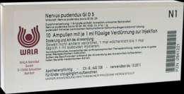 NERVUS PUDENDUS GL D 5 Ampullen 10X1 ml