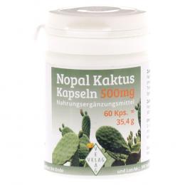 NOPAL Kaktus 500 mg Kapseln 60 St Kapseln