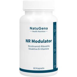 NR MODULATOR Nicotinamid-Ribosid+B-Vitamine Kaps. 60 St.