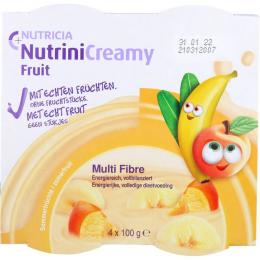 NUTRINI Creamy Fruit Sommerfrüchte 400 g