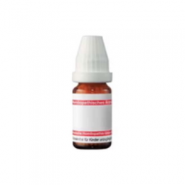 NUX MOSCHATA D 6 Dilution 20 ml