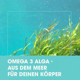 OMEGA-3 ALGA Kapseln 120 St.