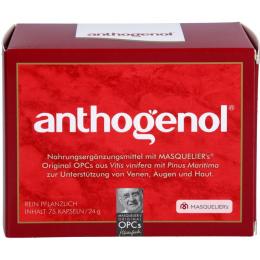 OPC ORIGINAL Masqueliers Anthogenol Kapseln 75 St. (24 g)