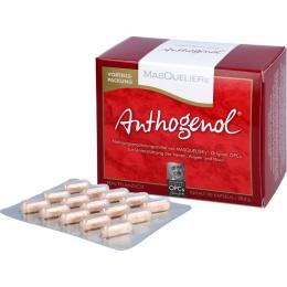 OPC ORIGINAL Masqueliers Anthogenol Kapseln 90 St. (28,8 g)