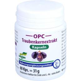 OPC TRAUBENKERNEXTRAKT+Vitamin C Kapseln 60 St.
