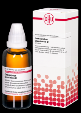 ORTHOSIPHON STAMINEUS Urtinktur D 1 50 ml