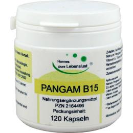 PANGAM Vitamin B15 Kapseln 120 St. (53 g)