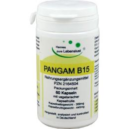PANGAM Vitamin B15 Kapseln 60 St. (26 g)