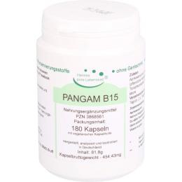 PANGAM Vitamin B15 Vegi Kapseln 180 St.