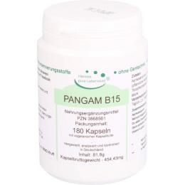 PANGAM Vitamin B15 Vegi Kapseln 180 St. (80 g)