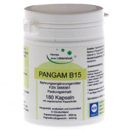Ein aktuelles Angebot für PANGAM Vitamin B15 Vegi Kapseln 180 St Kapseln Nahrungsergänzungsmittel - jetzt kaufen, Marke G & M Naturwaren Import GmbH & Co. KG.
