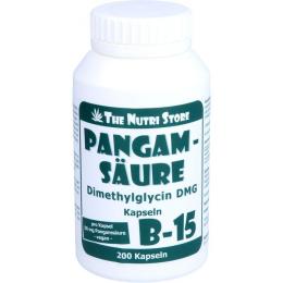 PANGAMSÄURE B15 50 mg vegetarische Kapseln 200 St. (100 g)