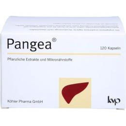 PANGEA Kapseln 120 St. (59,8 g)