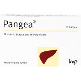 PANGEA Kapseln 15 St. (7,4 g)