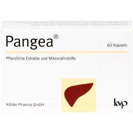 PANGEA Kapseln 60 St. (29,9 g)