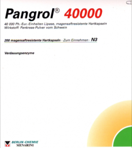 PANGROL 40.000 Hartkps.m.magensaftr.berz.Pell. 200 St