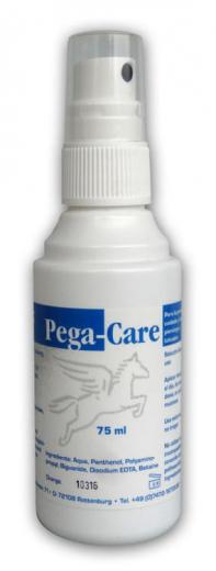 Ein aktuelles Angebot für PEGA-Care Dosierspray 75 ml Dosierspray Kosmetik & Pflege - jetzt kaufen, Marke Pegasus Pro GmbH.