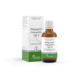 PFLÜGERPLEX Colocynthis 192 H Tropfen 50 ml Tropfen