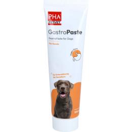 PHA GastroPaste f.Hunde 100 ml