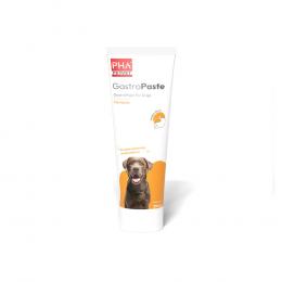 Ein aktuelles Angebot für PHA GastroPaste f.Hunde 100 ml Paste  - jetzt kaufen, Marke PetVet GmbH.
