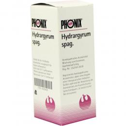 Ein aktuelles Angebot für PHÖNIX HYDRARGYRUM spag.Mischung 50 ml Mischung Naturheilmittel - jetzt kaufen, Marke Phönix Laboratorium GmbH.